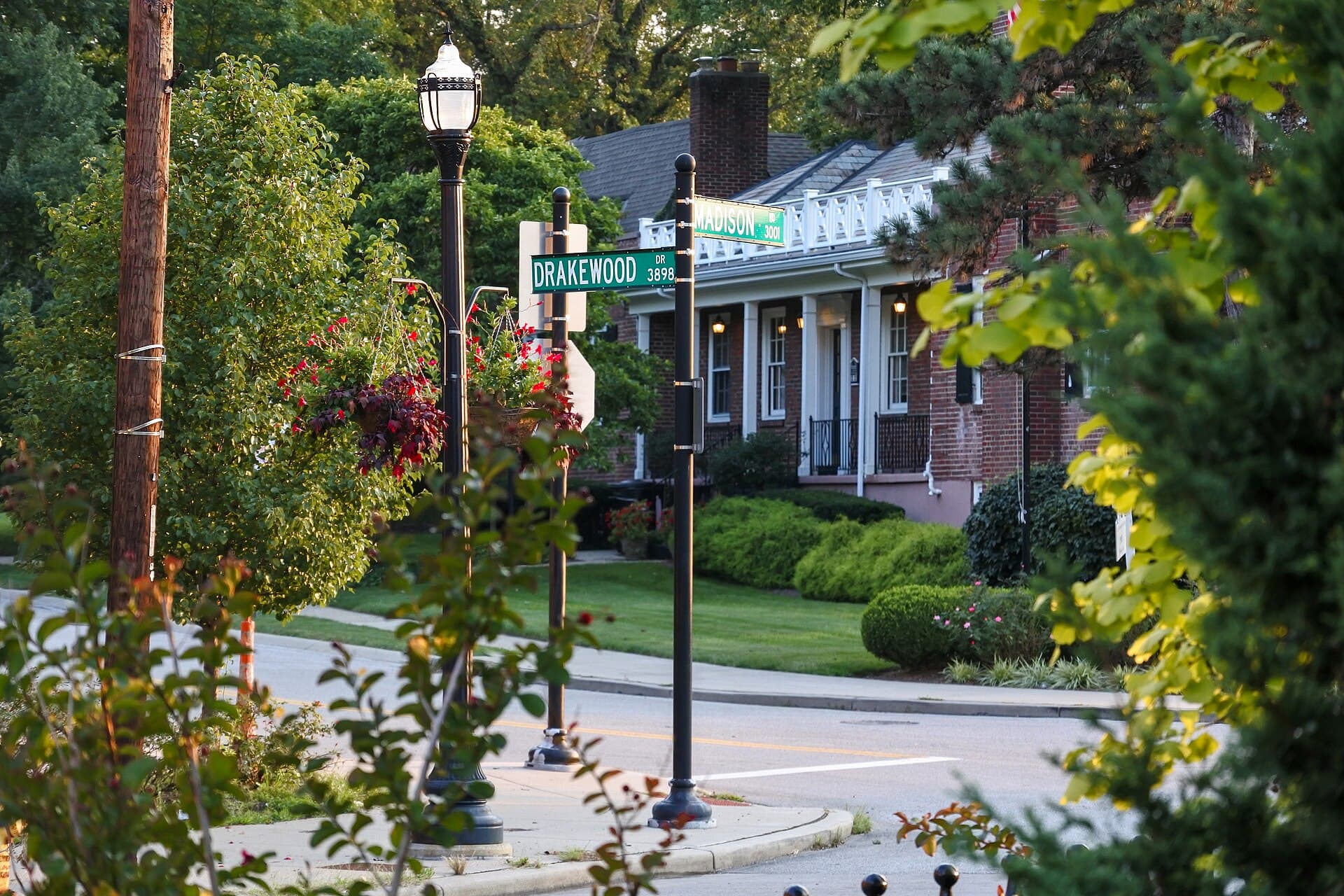Suburban residential street